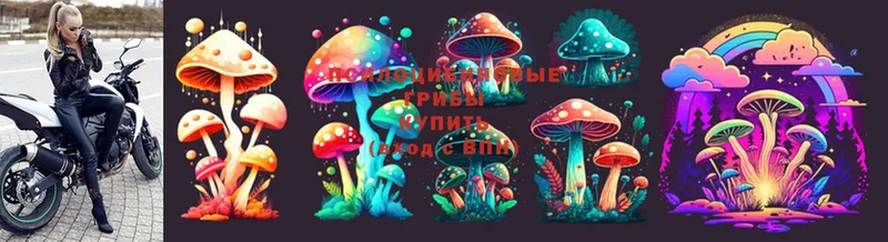 наркошоп  Красноуфимск  Галлюциногенные грибы Psilocybe 